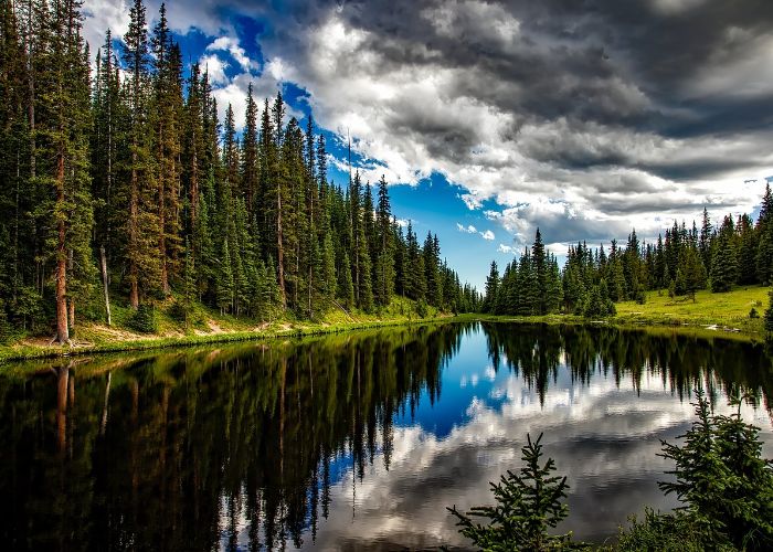 Lush greenery and tall pine trees reflecting in calm waters of a serene lake under a partly cloudy sky, evoking outdoor activities like canoeing and fishing.
